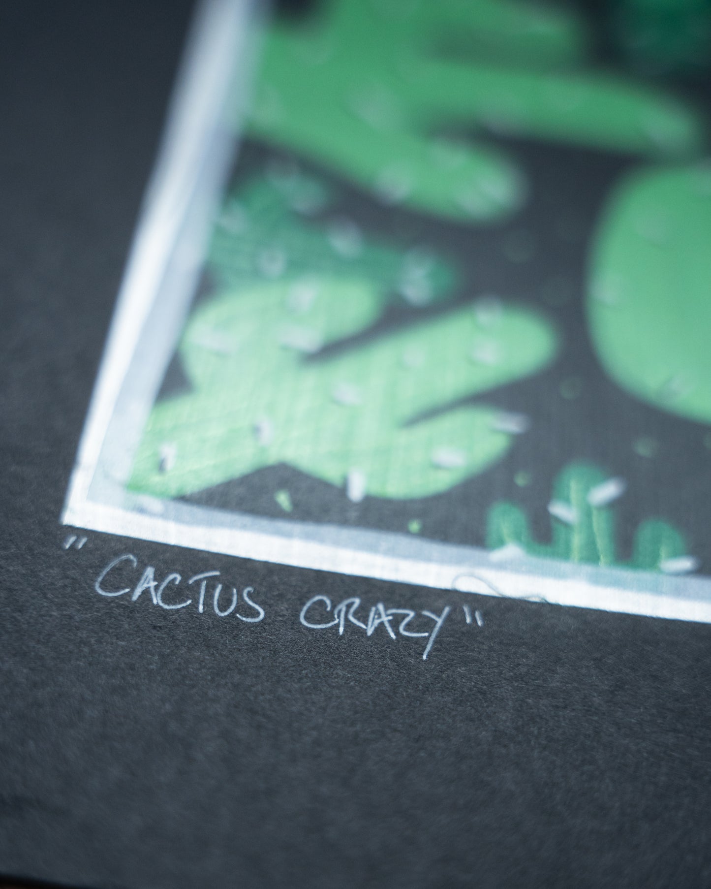Cactus Crazy (2025)
