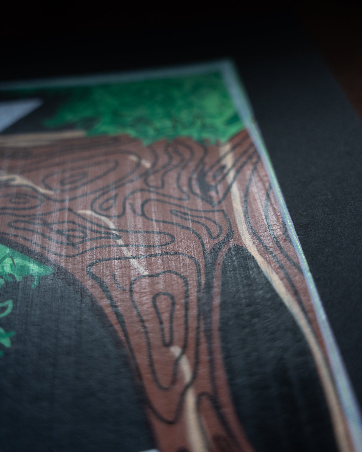 Planes and Trees (2025)