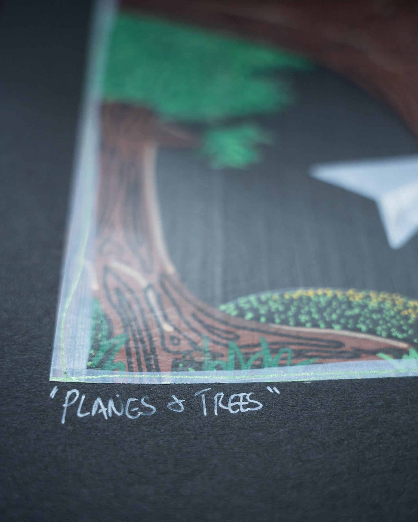 Planes and Trees (2025)