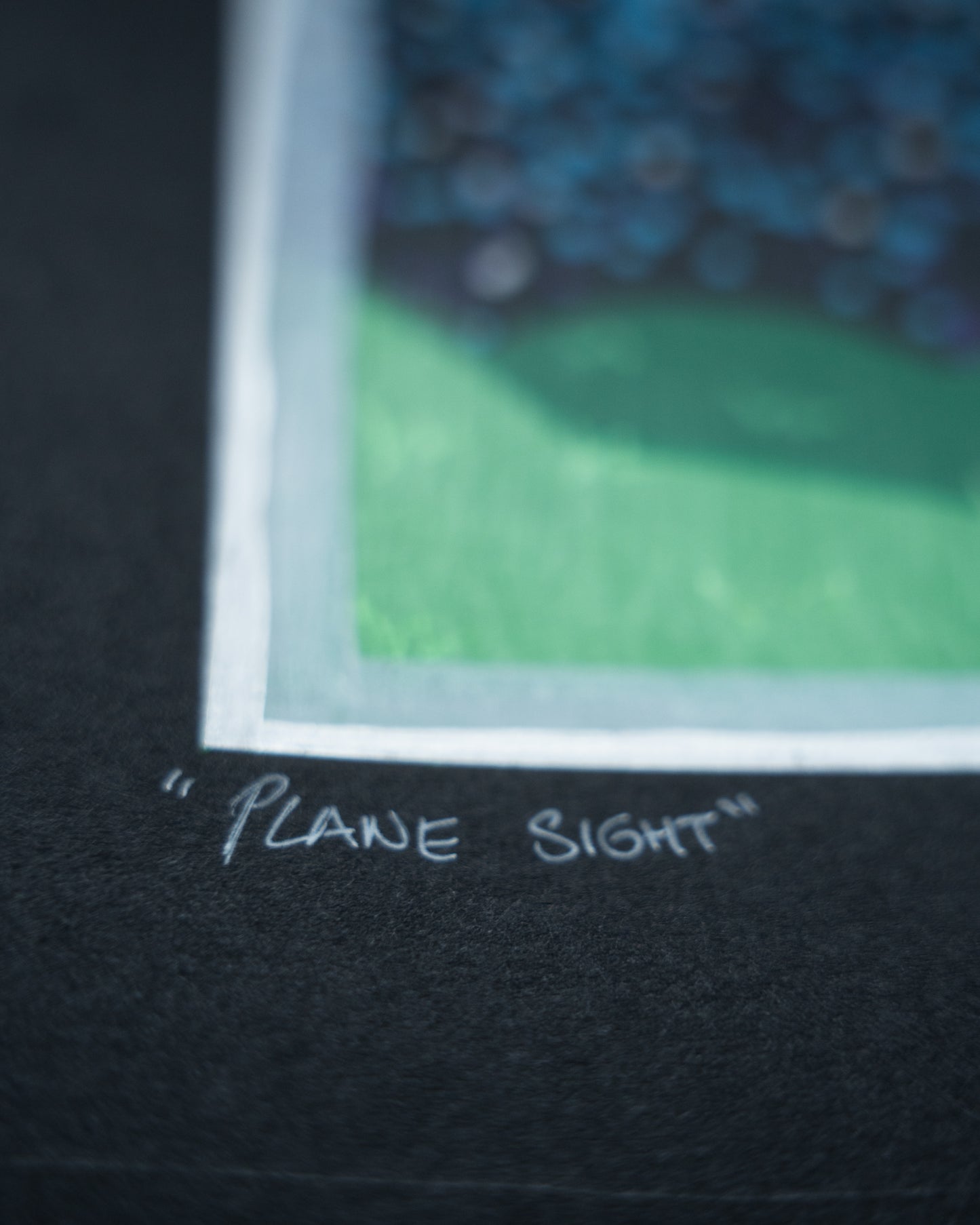Plane Sight (2025)